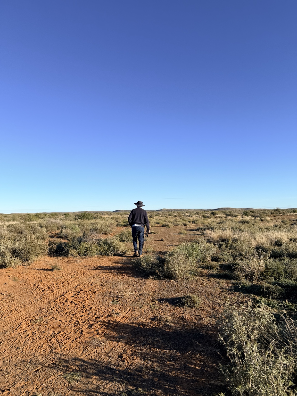 Open Karoo veld at Deelfontein