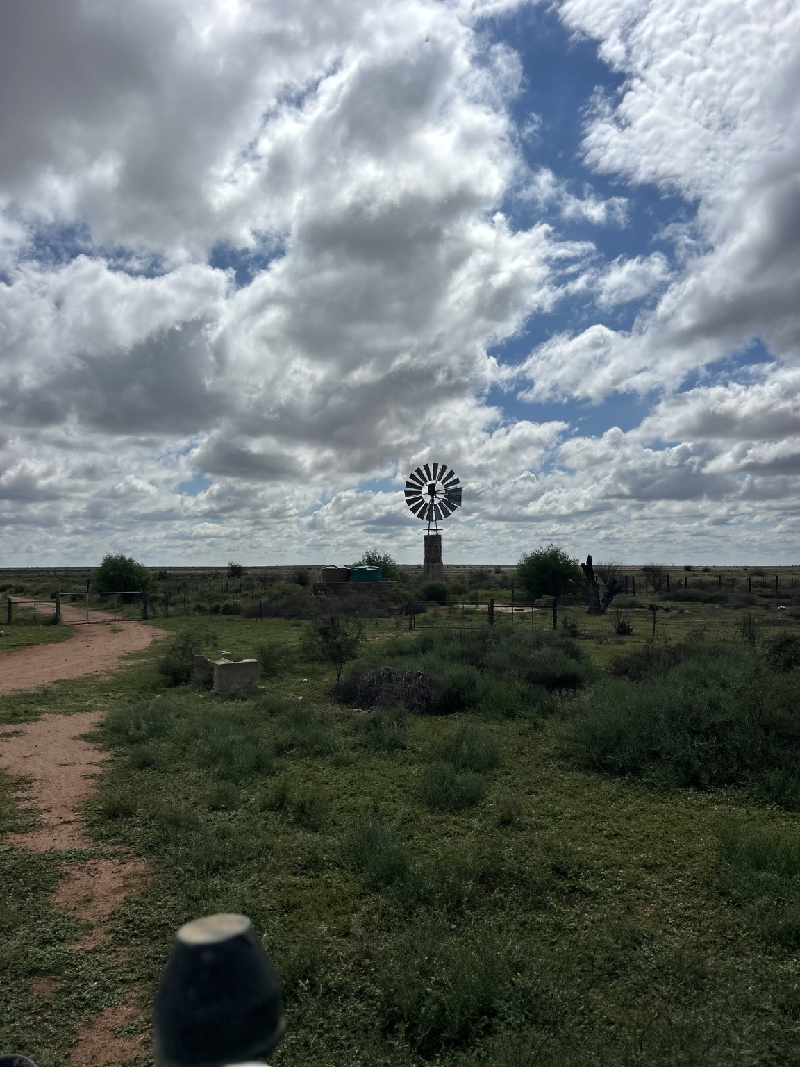 Windmill on the Deelfontein farm